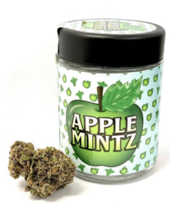 Apple Mintz