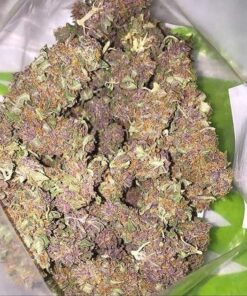 Buy purple haze strain Online