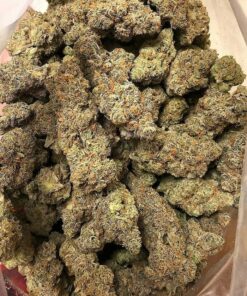 Buy gelato strain Online