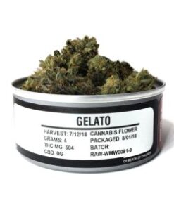 Gelato Strain