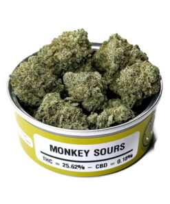 Sour Monkey OG Strain