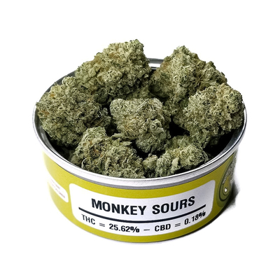 Sour Monkey OG Strain